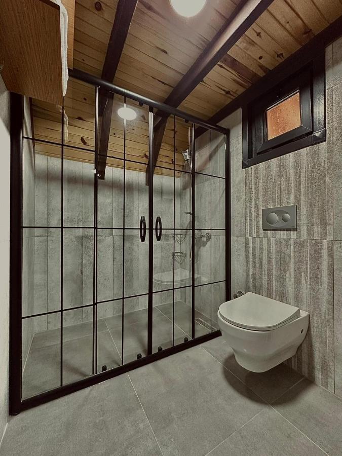 Maksudiye Selale Tatil Koyu Villa Geyve Kültér fotó